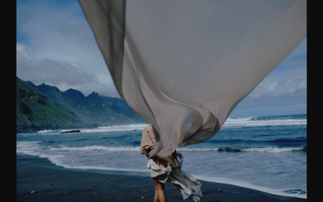 Previous GIF