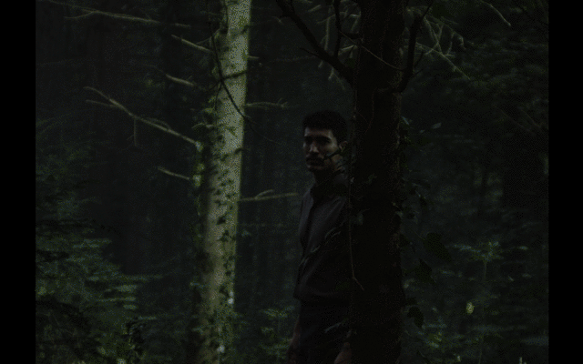 Previous GIF