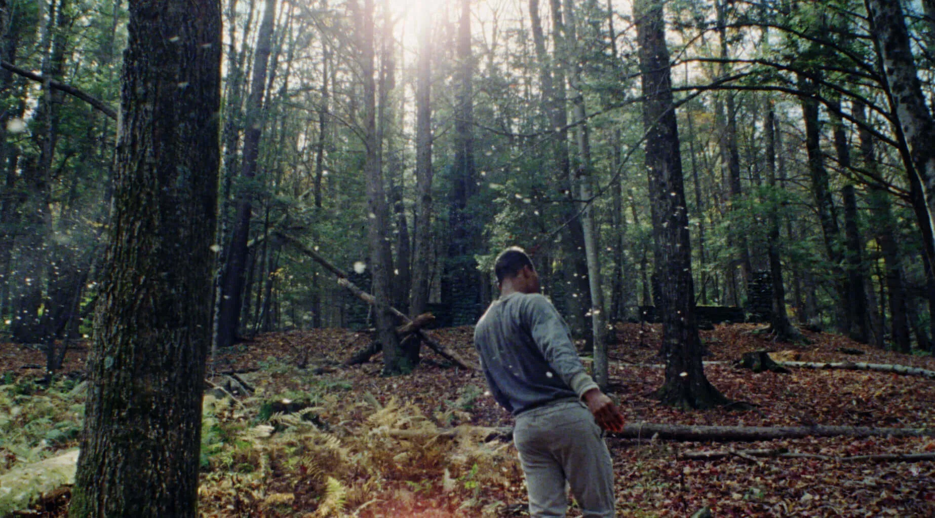 Previous Image