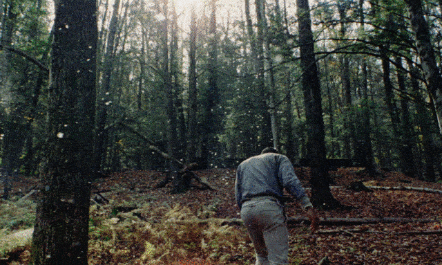 Previous GIF