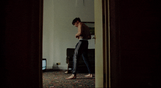 Previous GIF