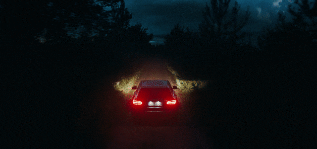 Previous GIF